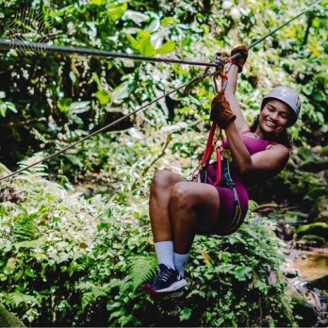 Tour de Canopy